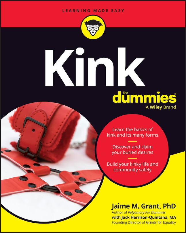 Front cover_Kink For Dummies