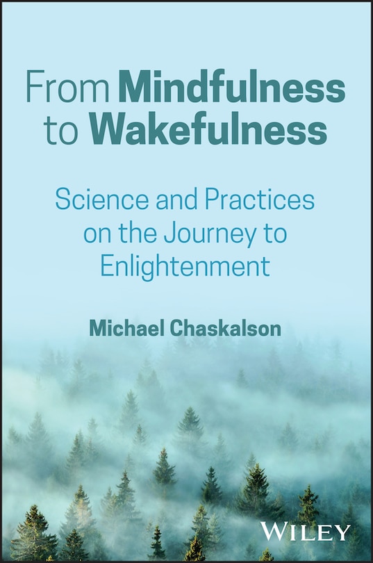 Front cover_From Mindfulness to Wakefulness
