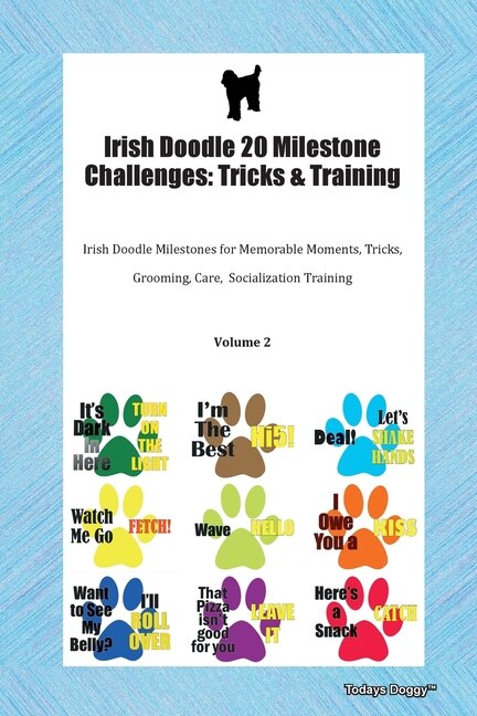 Front cover_Irish Doodle 20 Milestone Challenges