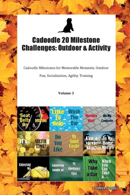 Front cover_Cadoodle 20 Milestone Challenges