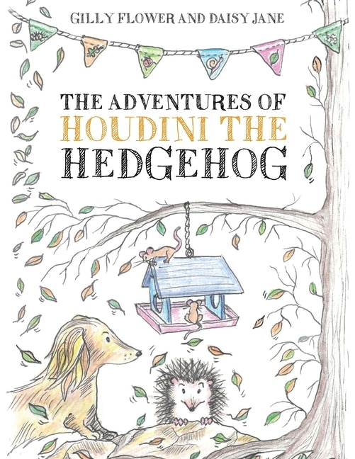 Couverture_The Adventures of Houdini the Hedgehog
