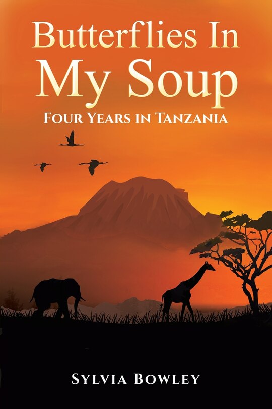 Front cover_Butterflies in My Soup