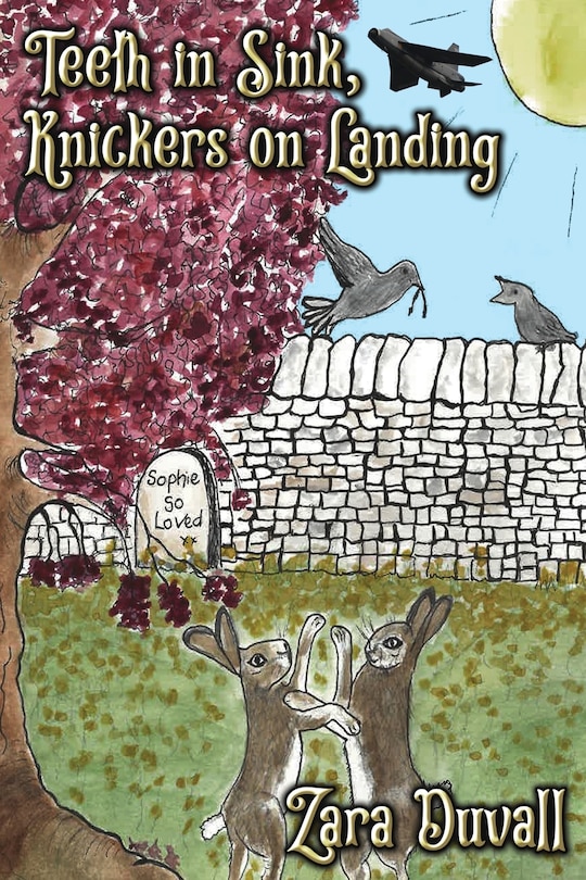 Couverture_Teeth In Sink, Knickers on Landing