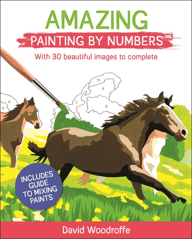 Amazing Painting By Numbers: With 30 Beautiful Images To Complete. Includes Guide To Mixing Paints