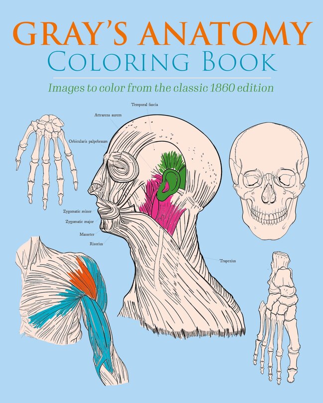 Gray's Anatomy Coloring Book: Images to Color from the Classic 1860 Edition