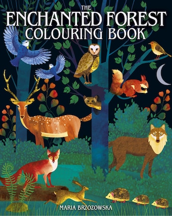 ENCHANTED FOREST COLOURING BK