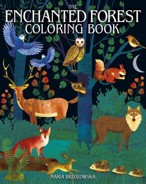 Front cover_The Enchanted Forest Coloring Book