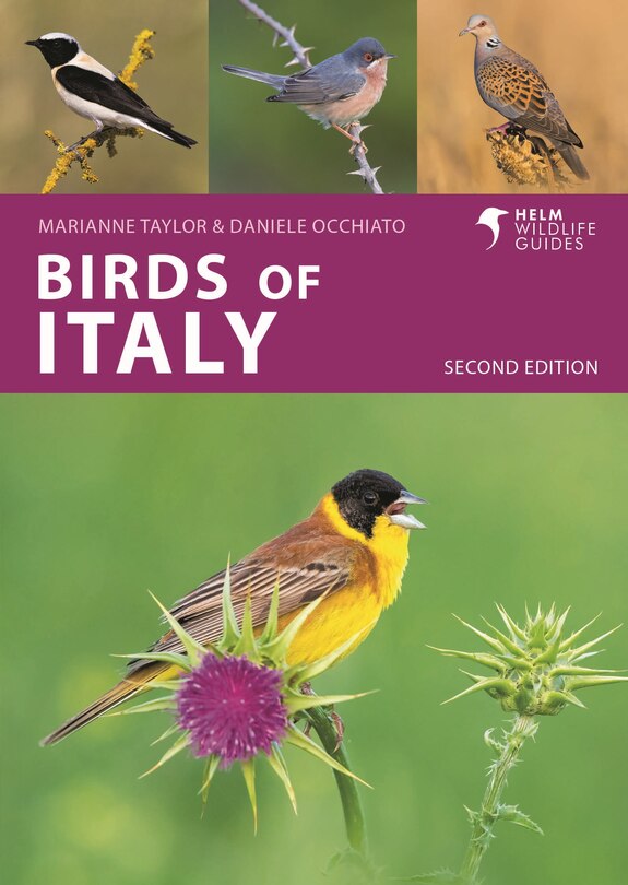 Front cover_Birds of Italy