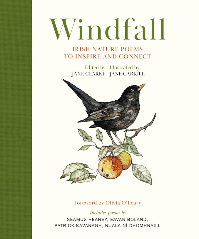 Front cover_Windfall