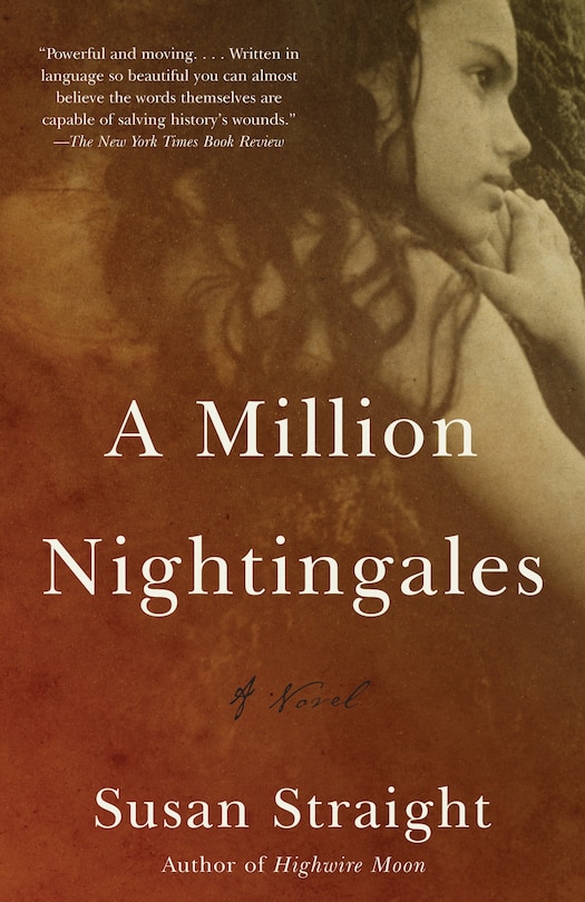 Front cover_A Million Nightingales
