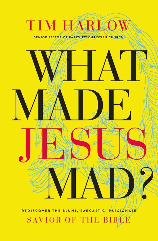 Front cover_What Made Jesus Mad?