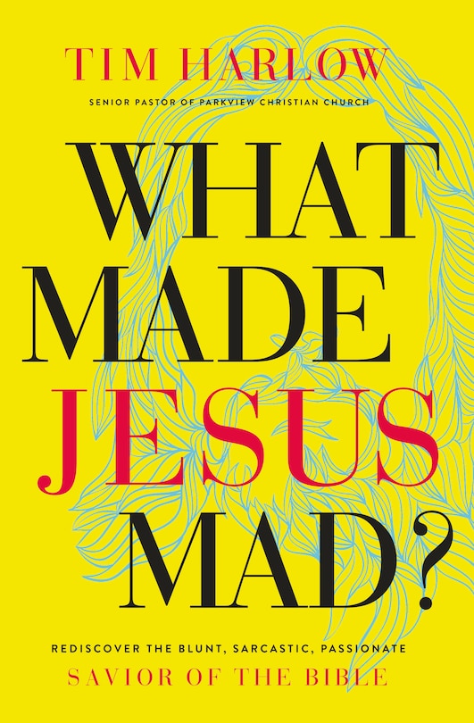 Front cover_What Made Jesus Mad?*