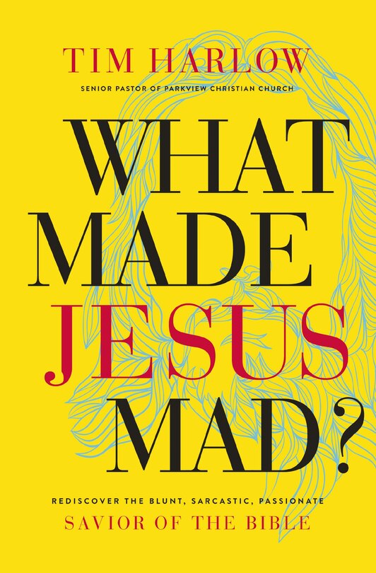 Front cover_What Made Jesus Mad?