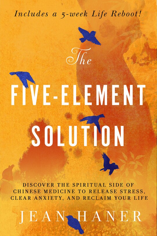 Couverture_The Five-Element Solution