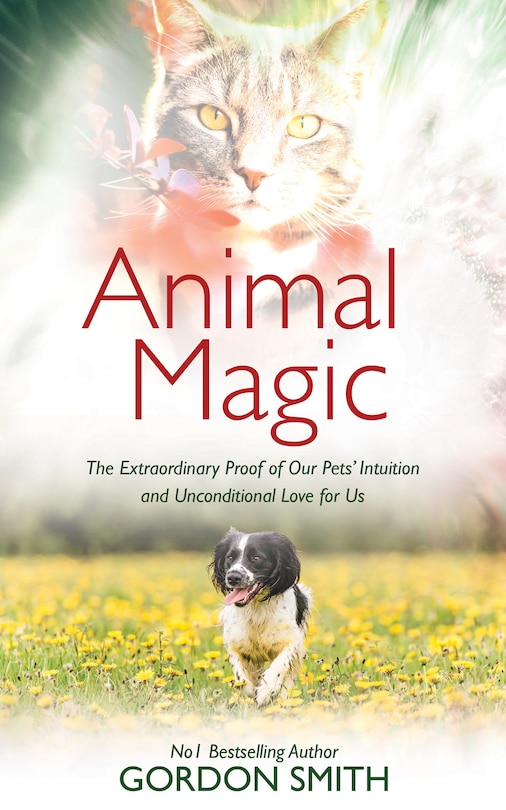 Front cover_Animal Magic