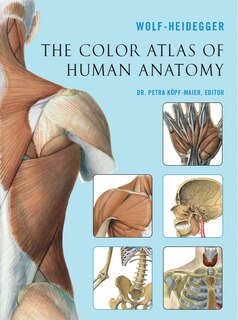 Couverture_The Color Atlas of Human Anatomy
