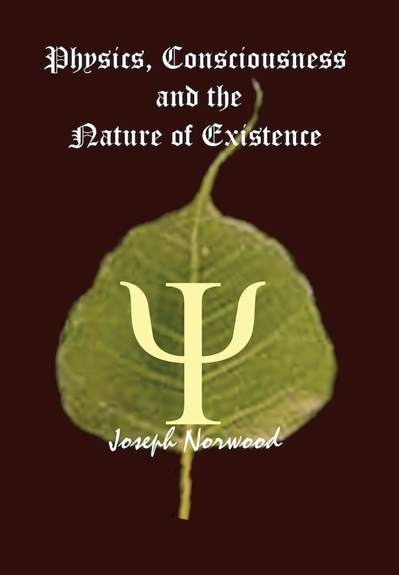 Front cover_Physics, Consciousness and the Nature of Existence