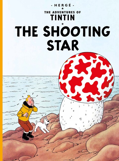 Couverture_The Shooting Star