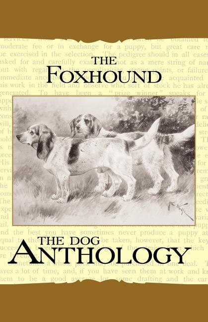 Couverture_The Foxhound & Harrier - A Dog Anthology (A Vintage Dog Books Breed Classic)