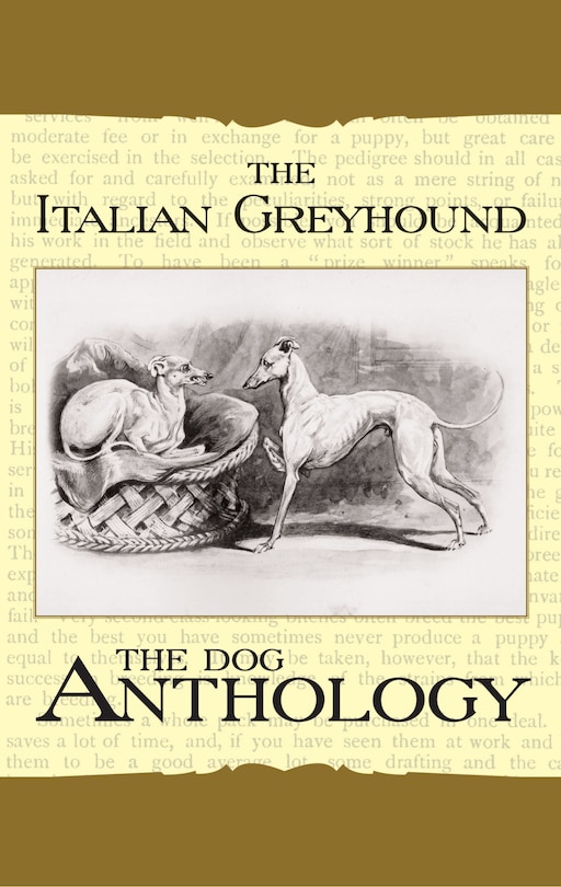 Front cover_The Italian Greyhound: A Dog Anthology