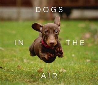 Front cover_Dogs In The Air