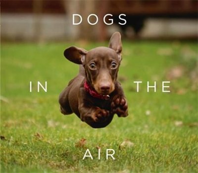 Front cover_Dogs In The Air