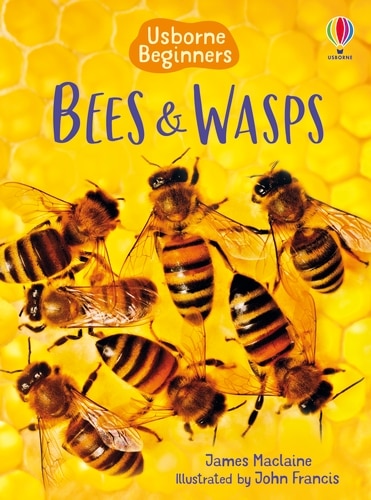 Front cover_Bees And Wasps (Beginners)