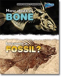 Front cover_How Does A Bone Become A Fossil?