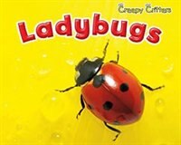 Couverture_Ladybugs