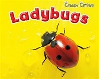 Couverture_Ladybugs