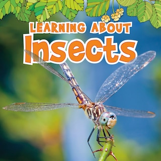 Front cover_Learning About Insects