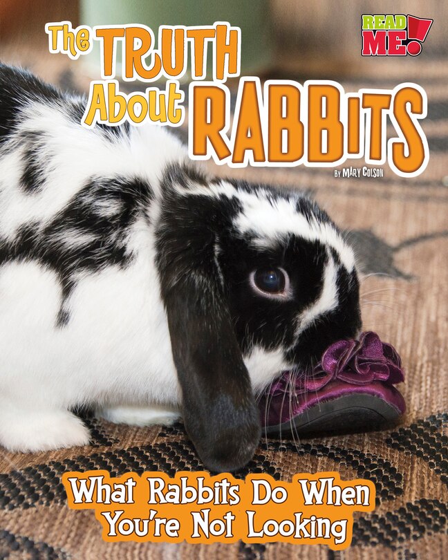 Couverture_The Truth about Rabbits