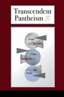 Front cover_Transcendent Pantheism