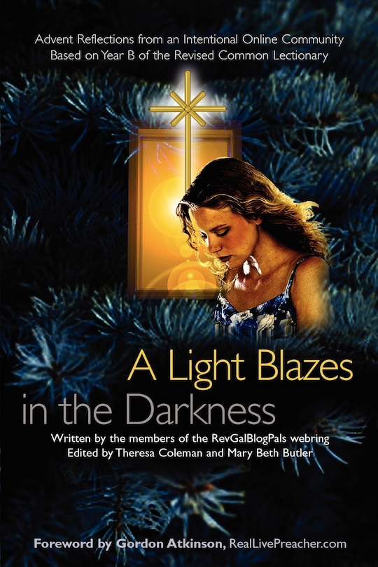 Front cover_A Light Blazes in the Darkness