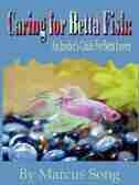 Caring For Betta Fish by Song, Marcus
