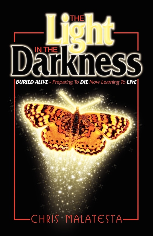 Couverture_The Light in the Darkness