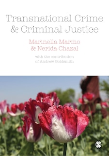 Couverture_Transnational Crime And Criminal Justice