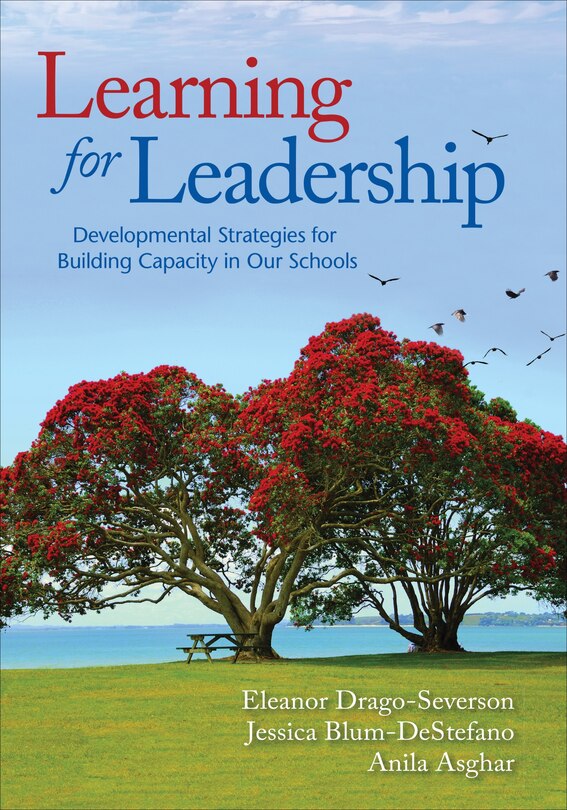 Couverture_Learning For Leadership