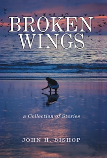 Couverture_Broken Wings