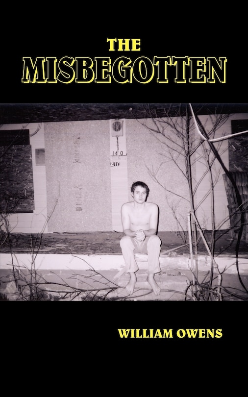 Couverture_The Misbegotten