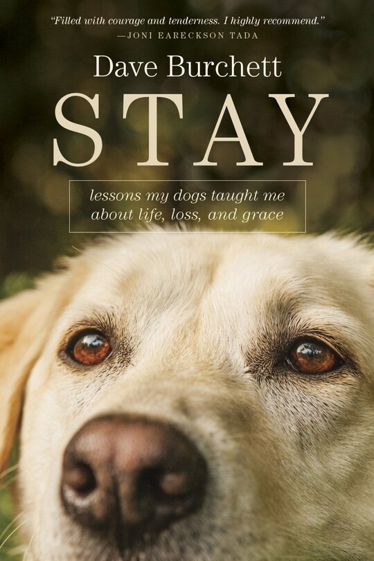 Front cover_Stay