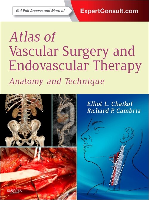 Couverture_Atlas Of Vascular Surgery And Endovascular Therapy