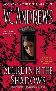 Couverture_Secrets in the Shadows