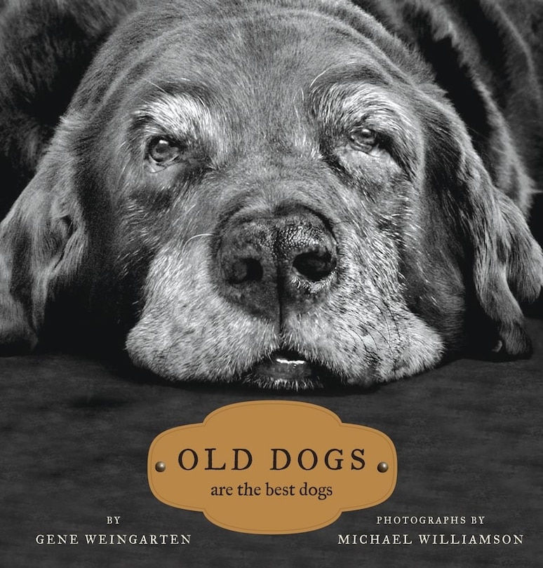 Front cover_Old Dogs