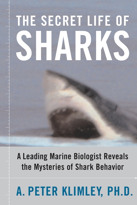 Front cover_The Secret Life of Sharks