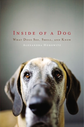 Inside of a Dog: What Dogs See, Smell, and Know