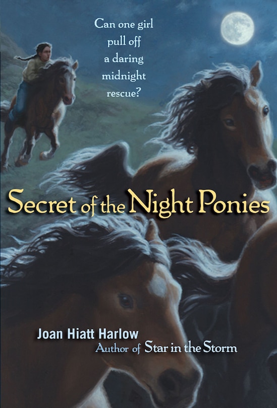 Couverture_Secret of the Night Ponies