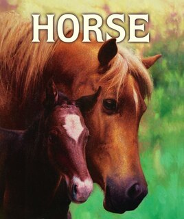 Front cover_Horse