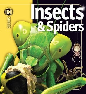 Couverture_Insects & Spiders