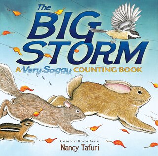 Front cover_The Big Storm